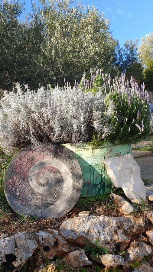 Вілла Mary'S Garden Tulisevica Екстер'єр фото