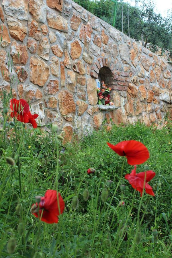 Вілла Mary'S Garden Tulisevica Екстер'єр фото